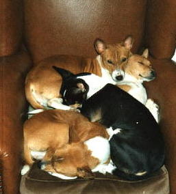 Chair Full