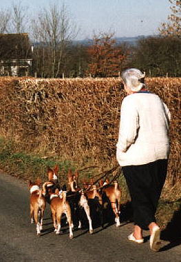 Walking along